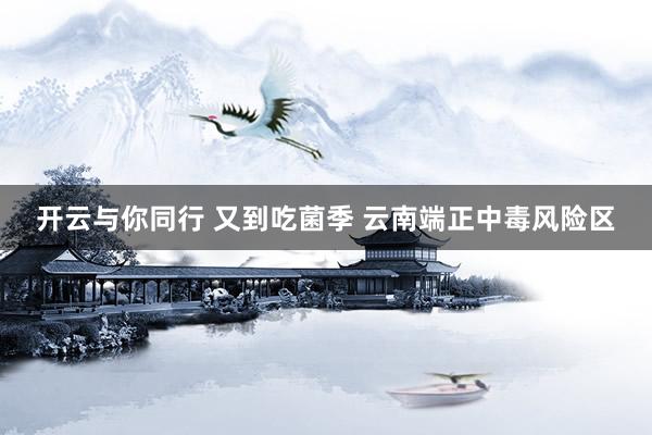 开云与你同行 又到吃菌季 云南端正中毒风险区
