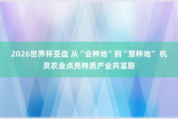 2026世界杯亚盘 从“会种地”到“慧种地” 机灵农业点亮特质产业共富路