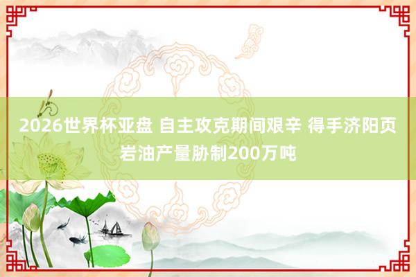2026世界杯亚盘 自主攻克期间艰辛 得手济阳页岩油产量胁制200万吨