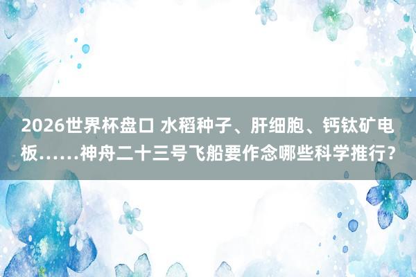 2026世界杯盘口 水稻种子、肝细胞、钙钛矿电板……神舟二十三号飞船要作念哪些科学推行?