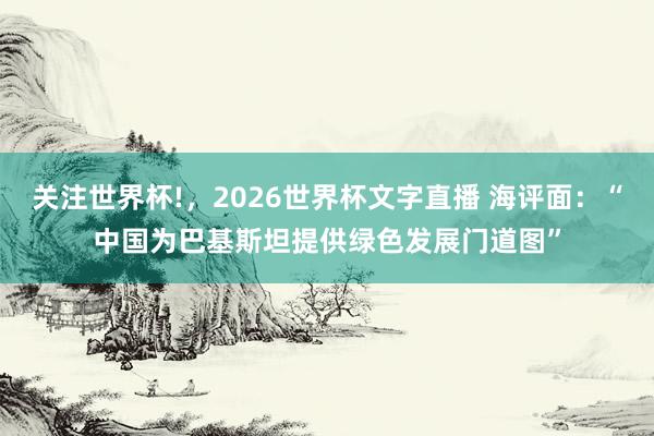 关注世界杯!，2026世界杯文字直播 海评面：“中国为巴基斯坦提供绿色发展门道图”