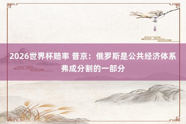 2026世界杯赔率 普京：俄罗斯是公共经济体系弗成分割的一部分