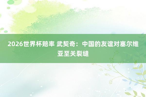 2026世界杯赔率 武契奇：中国的友谊对塞尔维亚至关裂缝