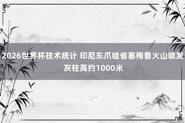 2026世界杯技术统计 印尼东爪哇省塞梅鲁火山喷发 灰柱高约1000米