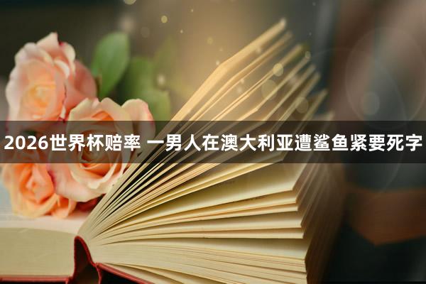 2026世界杯赔率 一男人在澳大利亚遭鲨鱼紧要死字