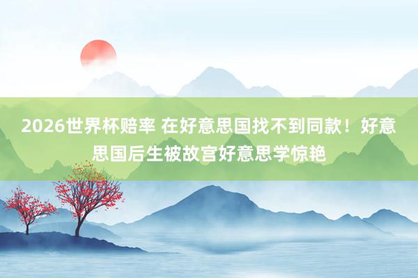 2026世界杯赔率 在好意思国找不到同款!好意思国后生被故宫好意思学惊艳