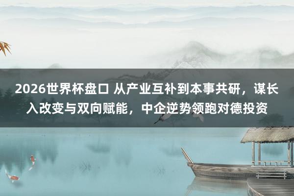 2026世界杯盘口 从产业互补到本事共研,谋长入改变与双向赋能,中企逆势领跑对德投资