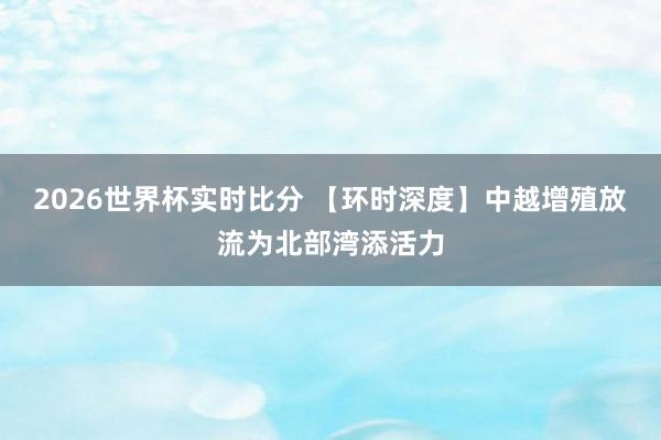 2026世界杯实时比分 【环时深度】中越增殖放流为北部湾添活力