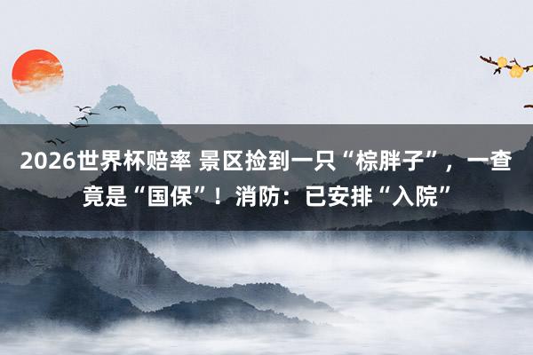 2026世界杯赔率 景区捡到一只“棕胖子”,一查竟是“国保”!消防:已安排“入院”