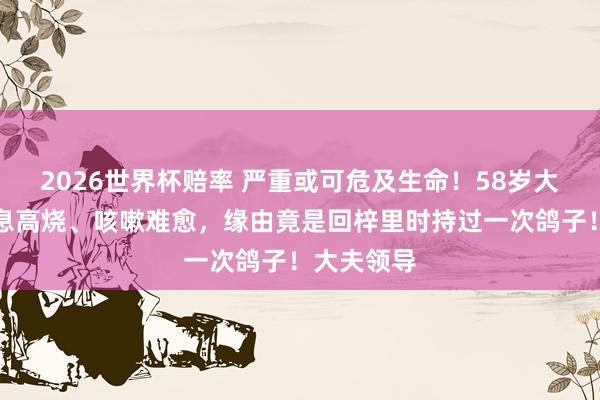 2026世界杯赔率 严重或可危及生命！58岁大姨窘态不息高烧、咳嗽难愈，缘由竟是回梓里时持过一次鸽子！大夫领导