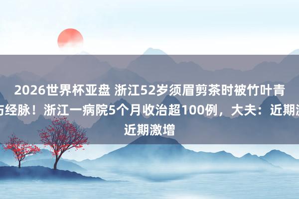 2026世界杯亚盘 浙江52岁须眉剪茶时被竹叶青咬伤经脉!浙江一病院5个月收治超100例,大夫:近期激增