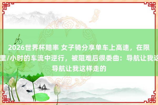 2026世界杯赔率 女子骑分享单车上高速，在限速80公里/小时的车流中逆行，被阻难后很委曲：导航让我这样走的