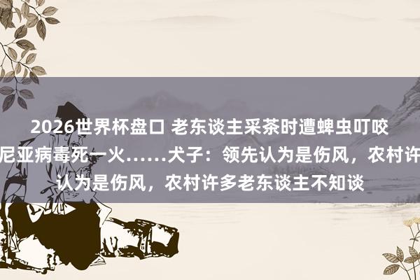 2026世界杯盘口 老东谈主采茶时遭蜱虫叮咬，确诊感染新式布尼亚病毒死一火……犬子：领先认为是伤风，农村许多老东谈主不知谈