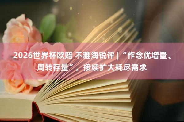 2026世界杯欧赔 不雅海锐评 | “作念优增量、周转存量”,接续扩大耗尽需求