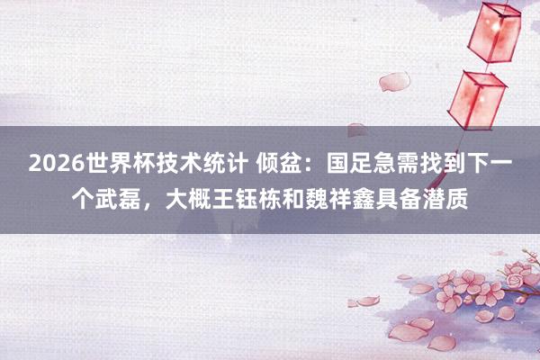 2026世界杯技术统计 倾盆：国足急需找到下一个武磊，大概王钰栋和魏祥鑫具备潜质