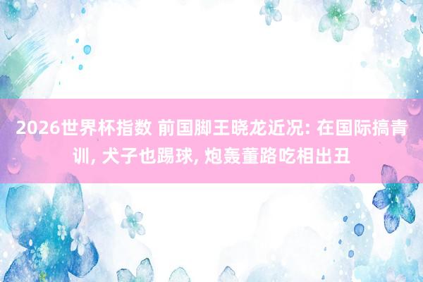 2026世界杯指数 前国脚王晓龙近况: 在国际搞青训， 犬子也踢球， 炮轰董路吃相出丑