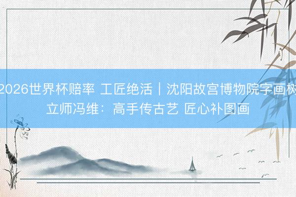 2026世界杯赔率 工匠绝活｜沈阳故宫博物院字画树立师冯维：高手传古艺 匠心补图画