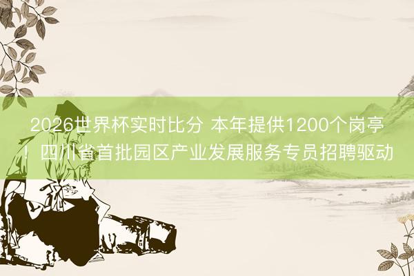2026世界杯实时比分 本年提供1200个岗亭!四川省首批园区产业发展服务专员招聘驱动