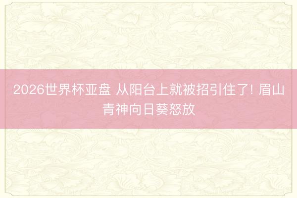 2026世界杯亚盘 从阳台上就被招引住了! 眉山青神向日葵怒放