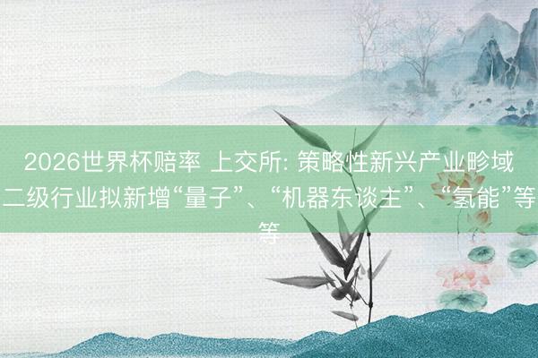 2026世界杯赔率 上交所: 策略性新兴产业畛域二级行业拟新增“量子”、“机器东谈主”、“氢能”等